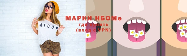 a pvp Белокуриха