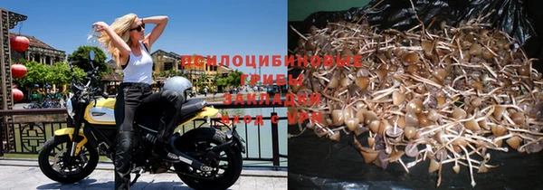 каннабис Магадан