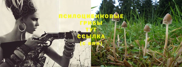 a pvp Белокуриха
